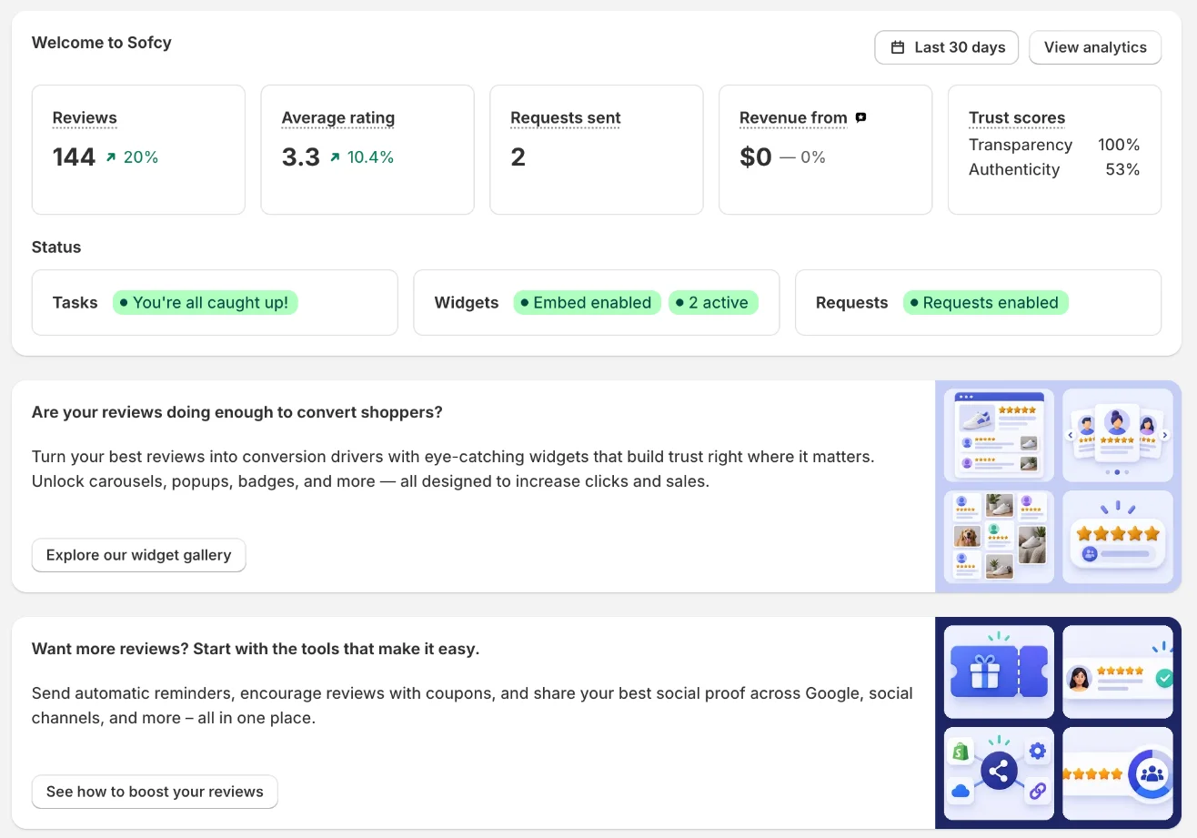 Home dashboard with the setup guide, review metrics and widget status
